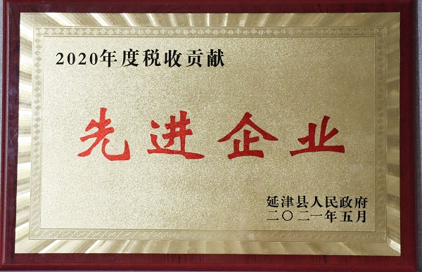 2020年度延津县“税收孝顺先进企业”奖牌.jpg
