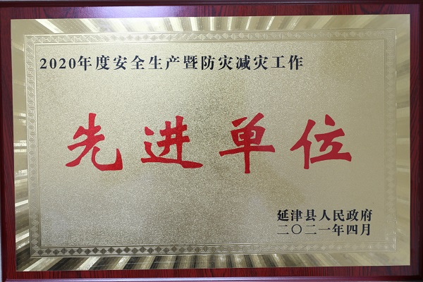 2020年度延津县“清静生产先进单位”奖牌.jpg