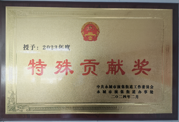 永都会演集街道效劳处揭晓的“特殊孝顺奖”奖牌 - 副本.png